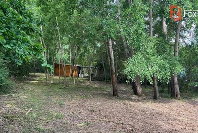 Teren extravilan de 6000 mp, în Fârdea - 7