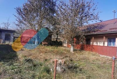 Casa individuala 100mp cu teren 8000mp - 6