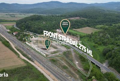 Spațiu comercial, de 117 mp, în Conop - 9