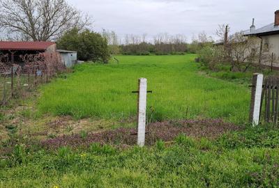 Spațiu comercial, în Ogrezeni - 4