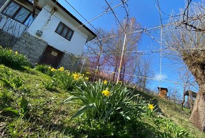 Casă cu 3 camere în Central - 1