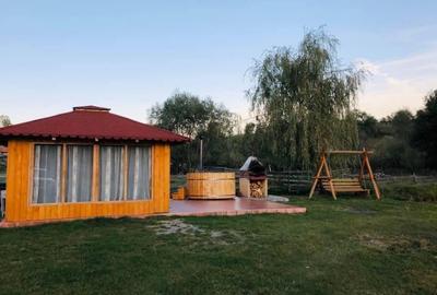 Casă individuală cu 5 camere cu Teren 8425 Mp în Mărgău - 7