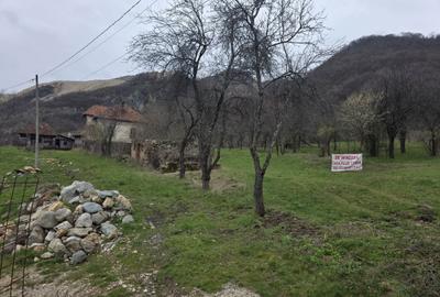 Casă cu 3 camere în Costești - 2