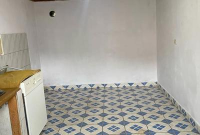 Casă cu 4 camere cu Teren 2215 Mp în Uileacu de Munte - 6