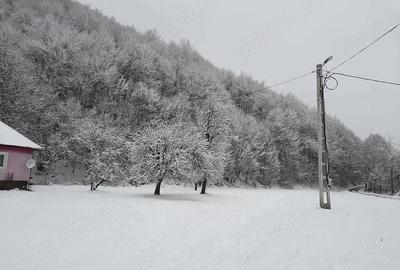 Casă cu 2 camere cu Teren 4721 Mp în Lunca Vișagului - 1