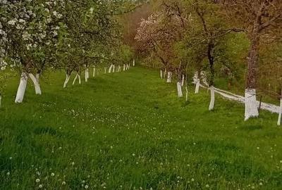 Spațiu comercial, în Borod - 5