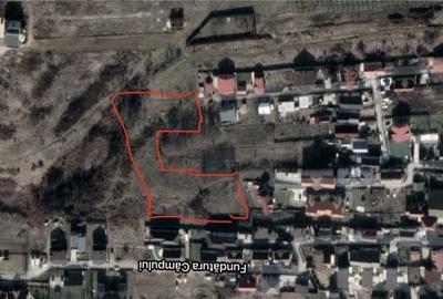 Teren de 5600 mp, în Câmpului - 4