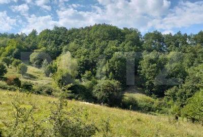 Spațiu comercial, în Poiana Ampoiului - 10