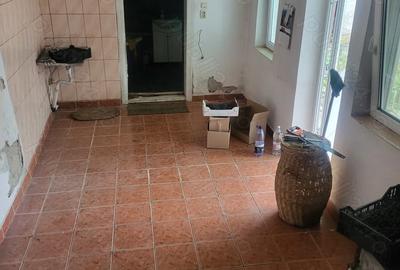 Casă cu 2 camere în Beiuș - 1