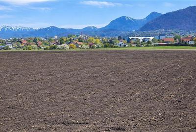 Teren Construcții intravilan de 49906 mp, în Stupini - 1