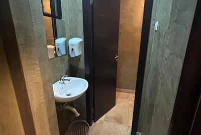 Apartament cu 5 camere, mobilat în Central - 5