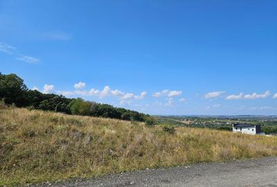 Teren de 2382 mp, în Bârnova - 11