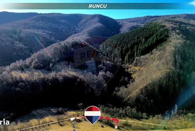 Spațiu comercial, în Izvoarele - 3