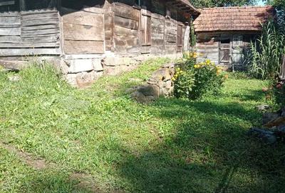 Casa satRostoci com. Plescuta jus. Arad - 8