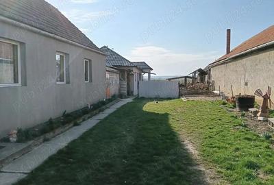 Casă cu 3 camere cu Teren 2800 Mp în Tarcea - 8