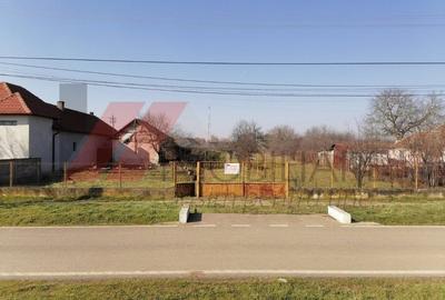 Peciu Nou - Teren Intravilan - 2500 mp - Utilitati - 3