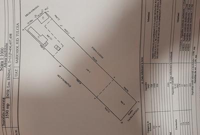 Casă în Enisala - 2