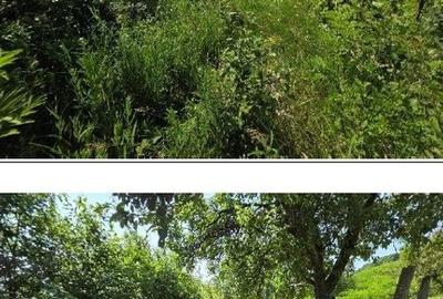 Teren de 2300 mp, în Duda