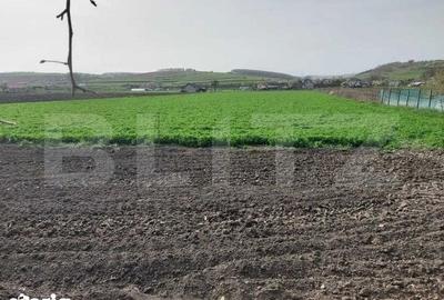 Casă cu 2 camere cu Teren 8291 Mp în Central - 1