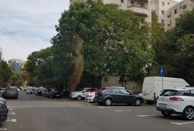 Inchiriere ap 2 cam decomandat, Panduri, Monitorul Oficial, 450 eur - 16