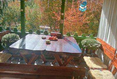 Vila unica,emblematica ptr zona,d p e m Vila unica,emblematica ptr zona,d p e m - 5