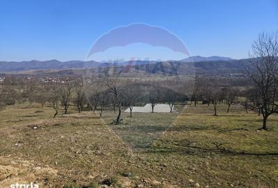 Teren de 4627 mp, în Bârsana - 8