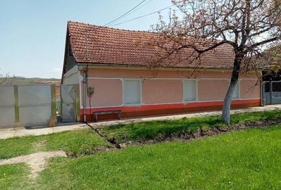 Casă cu 4 camere cu Teren 3600 Mp în Tirol - 4