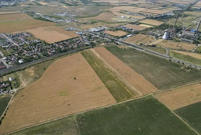 Tern intrevilan 4003 mp - 9