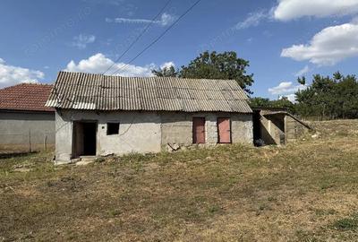 Casa cu teren 8000 mp. - Cetariu - IMOBIHOR - 6