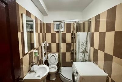 Garsonieră decomandată, mobilată în Domnești - 4