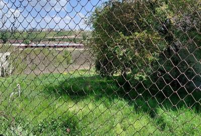 Teren intravilan 3.250 mp in File?ti Ideal pentru casa sau investi?ie! - 5