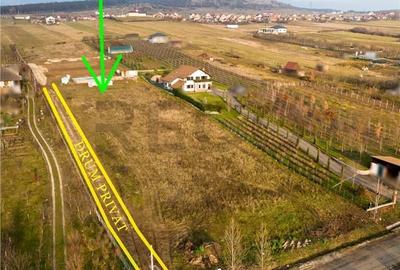 Spațiu comercial, în Betfia - 4