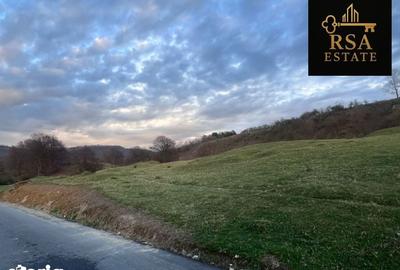 Teren de 2200 mp, în Goranu - 5