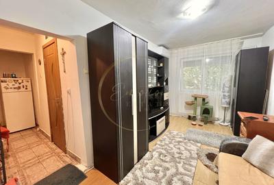 Apartament cu 2 camere, mobilat în Șagului - 5