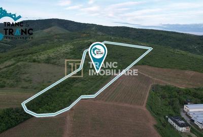 Teren Construcții extravilan de 11500 mp, în Ghioroc - 2