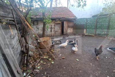 Casa de vanzare, 1360 mp teren, strada asfaltata, circulata, - 30