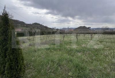 Casă cu 3 camere în Jichișu de Jos - 8