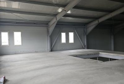Spațiu industrial, de 900 mp, în Balotești - 5