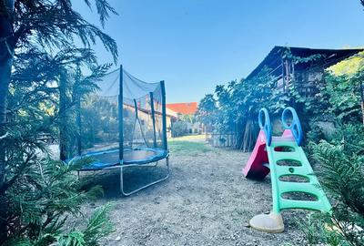 Casa verde Gradiste zona excelenta Casa verde Gradiste zona excelenta - 7