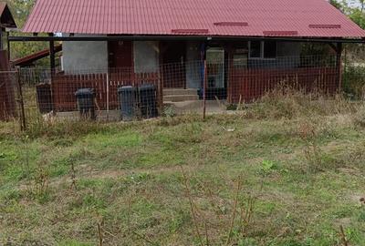 Casă cu 2 camere în Central - 2