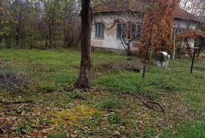 Teren de 1200 mp, în Priseaca - 5