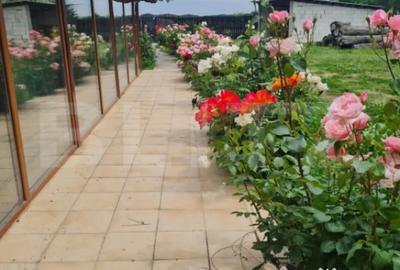 Casă cu 4 camere cu Teren 1710 Mp în Central - 11