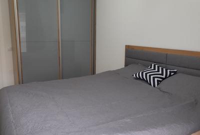 Apartament 2 camere de inchiriat zona Porii - 3
