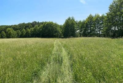 Teren de 3500 mp, în Central - 7