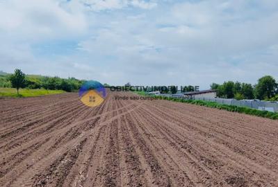 Teren agricol intravilan de 12300 mp, în Cârligi - 5