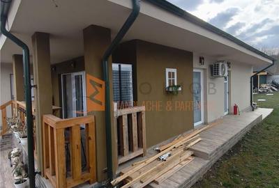 Casă cu 4 camere decomandat cu Teren 7851 Mp în Vintilă Vodă - 17