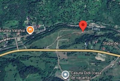 Teren de 5000 mp, în Păscoaia - 1
