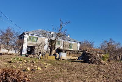 Casă cu 4 camere cu Teren 3200 Mp în Horezu-Poenari - 1