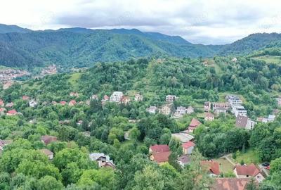 Teren Intravilan - Vedere Panoramica - 17