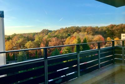 Apartament cu 3 camere, mobilat în Iancu Nicolae